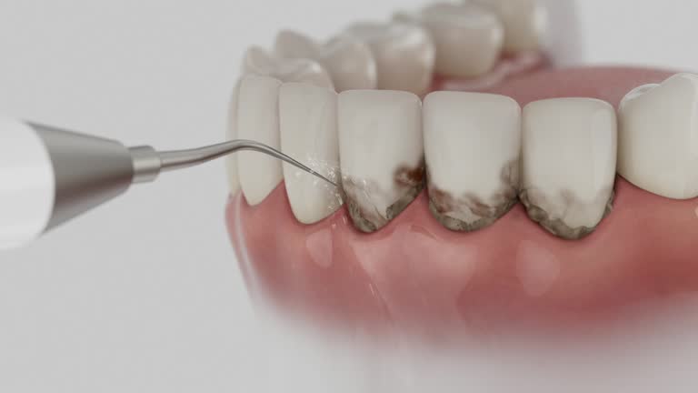 Reliable Dental contractor in Cocoa West, FL by Dentist Open Now